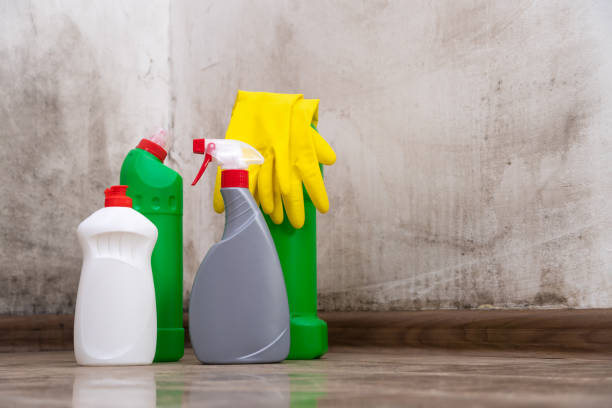 Arbuckle, CA Mold Removal Company